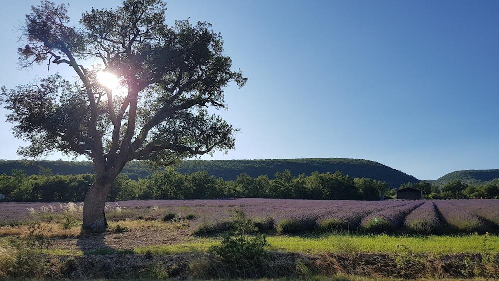 Logis Auberge De Tavel Bagian luar foto